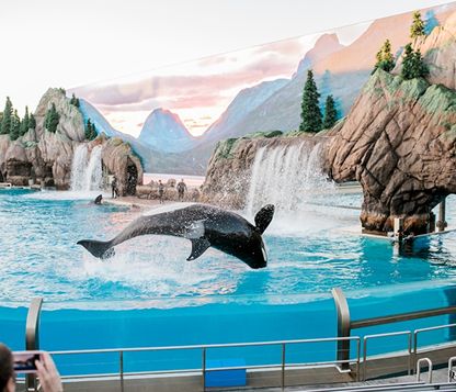 Sea World
