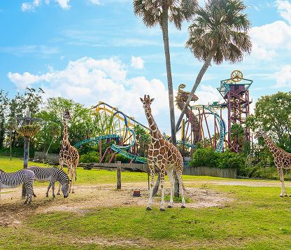 Busch Gardens
